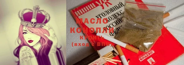 тгк Бородино