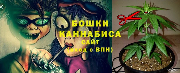 мдпв Бугульма