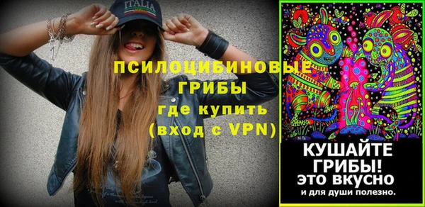 мдпв Бугульма