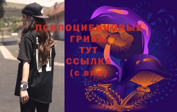 тгк Бородино