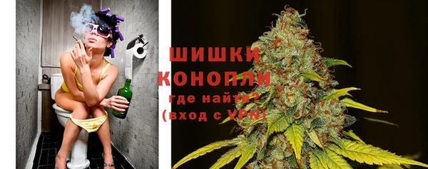 тгк Бородино