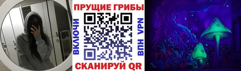 Галлюциногенные грибы ЛСД  наркотики  Вологда 